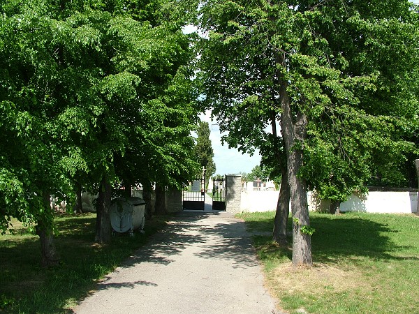 Litobratice - hbitov