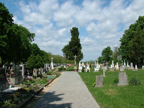 Litobratice - hbitov