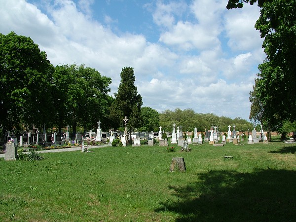 Litobratice - hbitov