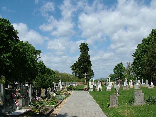 Litobratice - hbitov