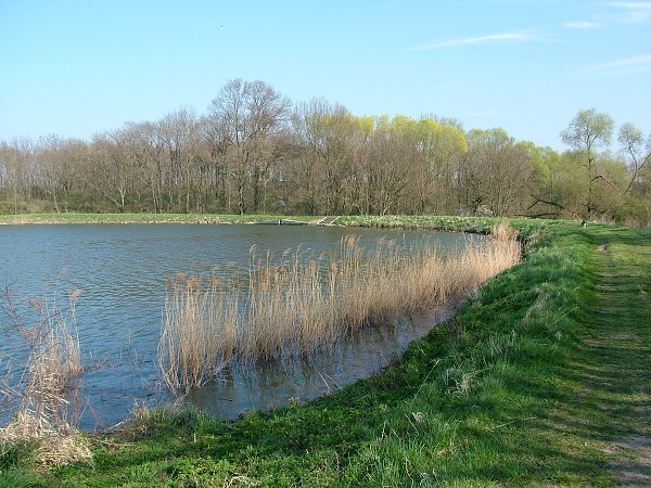 Litobratice - rybnky - duben 2007