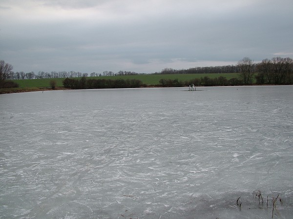 Rybníky v zimě - 4.1.2009