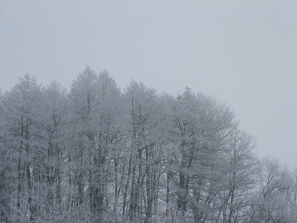 Zima v Litobratřicích - 17.1.2009