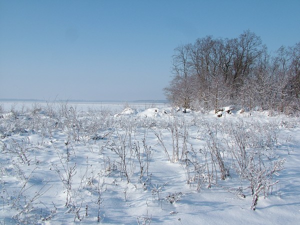 Zima v Litobratřicích - 4.12.2010