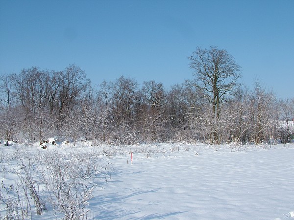 Zima v Litobratřicích - 4.12.2010