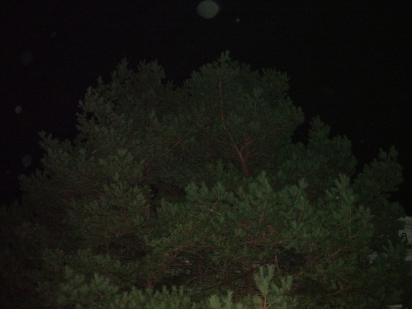 Rozsvícení ván. stromu - 26.11.2011