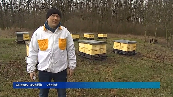 Včelaři hlídají úly pomocí GPS – Gusta Uváčik – GPS Dozor včelař – Události v regionech (Brno) – středa 16. 3. 2016 od 18:00 hod. na ČT1